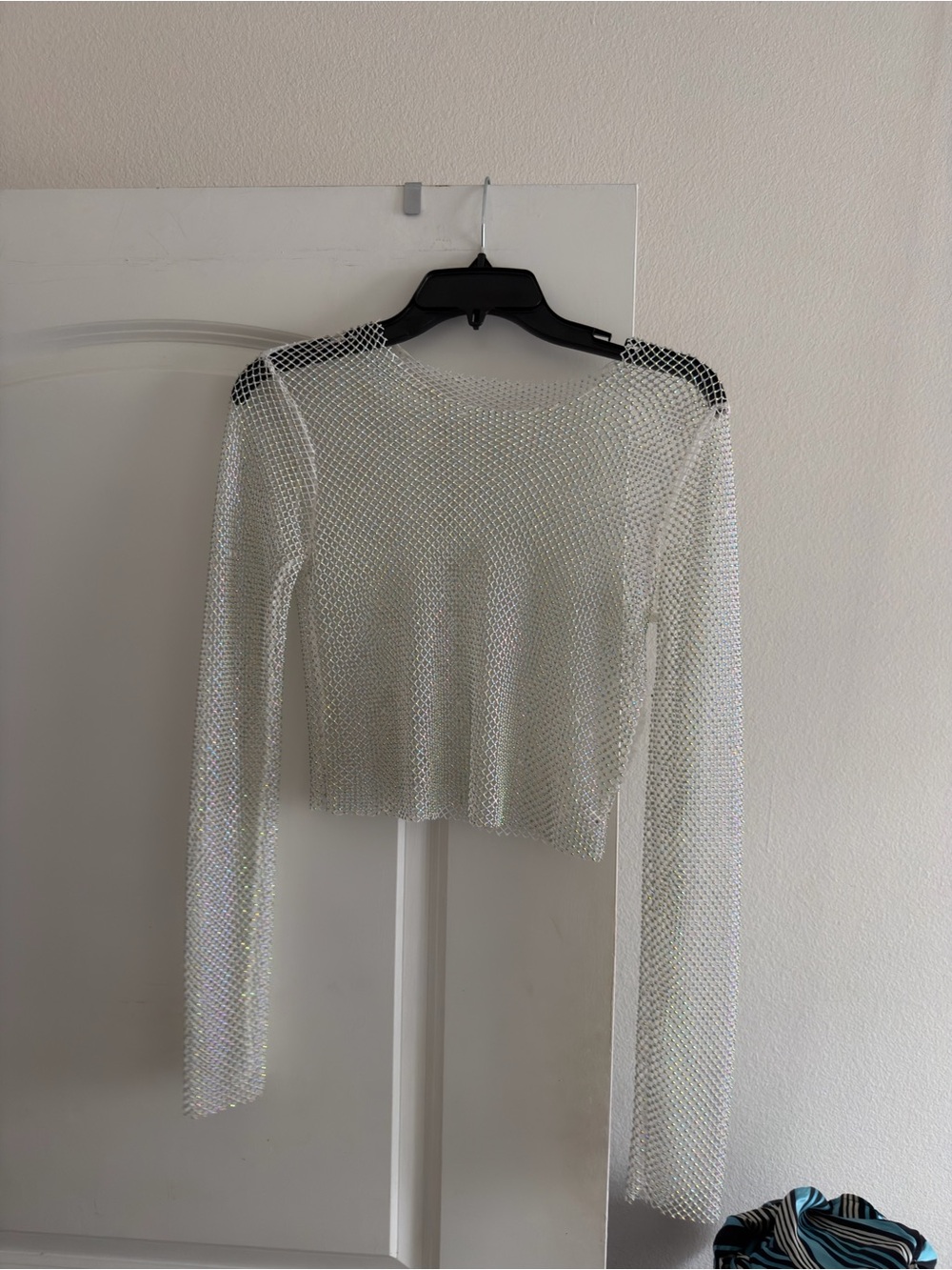 Zara Sheer Mesh Long Sleeve Top in White